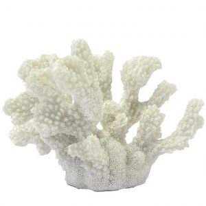 Poly Coral Small