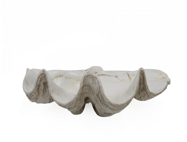 Poly Clam Antique White Medium