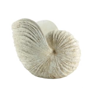 Poly Conch Shell Large