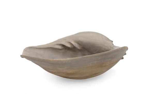 Poly Sea Shell