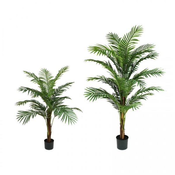 183cm Phoenix Palm - Image 3