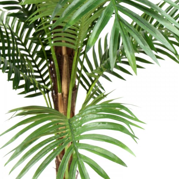 183cm Phoenix Palm - Image 2